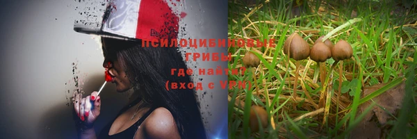 ГАЛЛЮЦИНОГЕННЫЕ ГРИБЫ Абаза