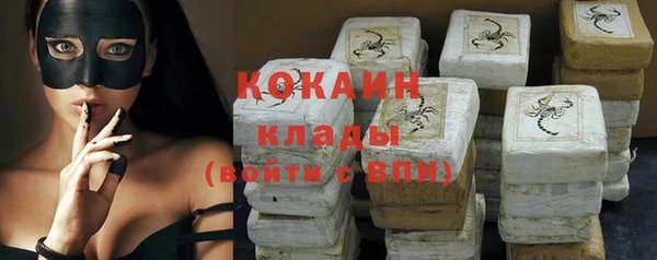 ГАЛЛЮЦИНОГЕННЫЕ ГРИБЫ Абаза