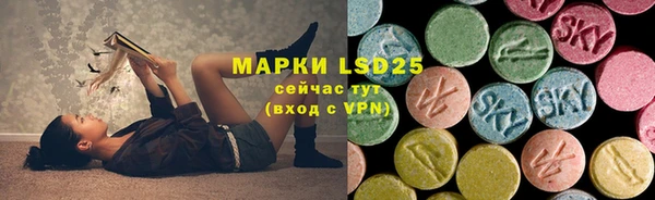 ГАЛЛЮЦИНОГЕННЫЕ ГРИБЫ Абаза