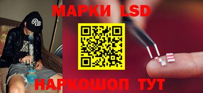 гидропоника Рыбинск
